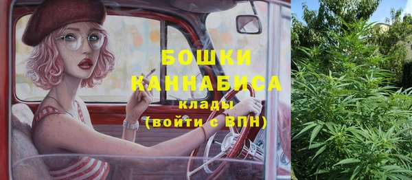 PSILOCYBIN Кукмор